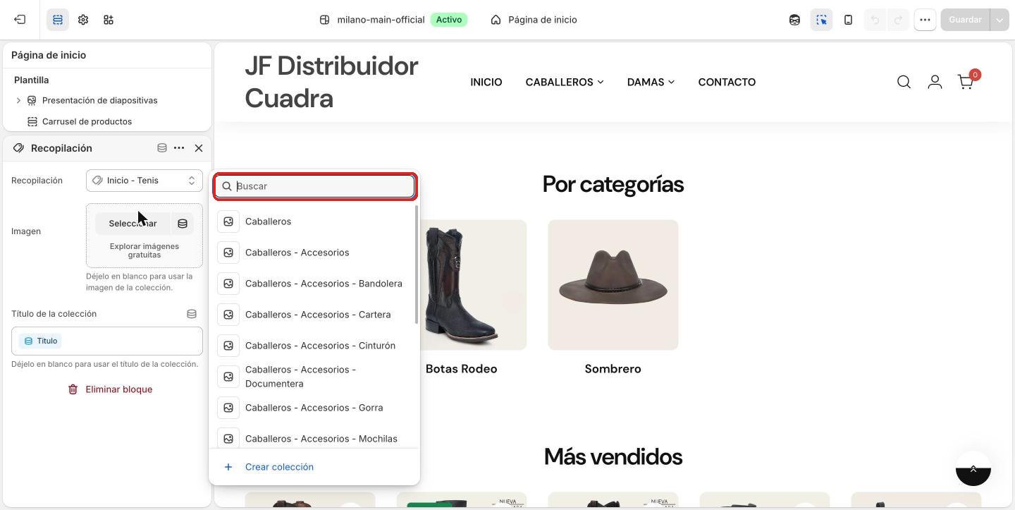 Lista de colecciones para elegir